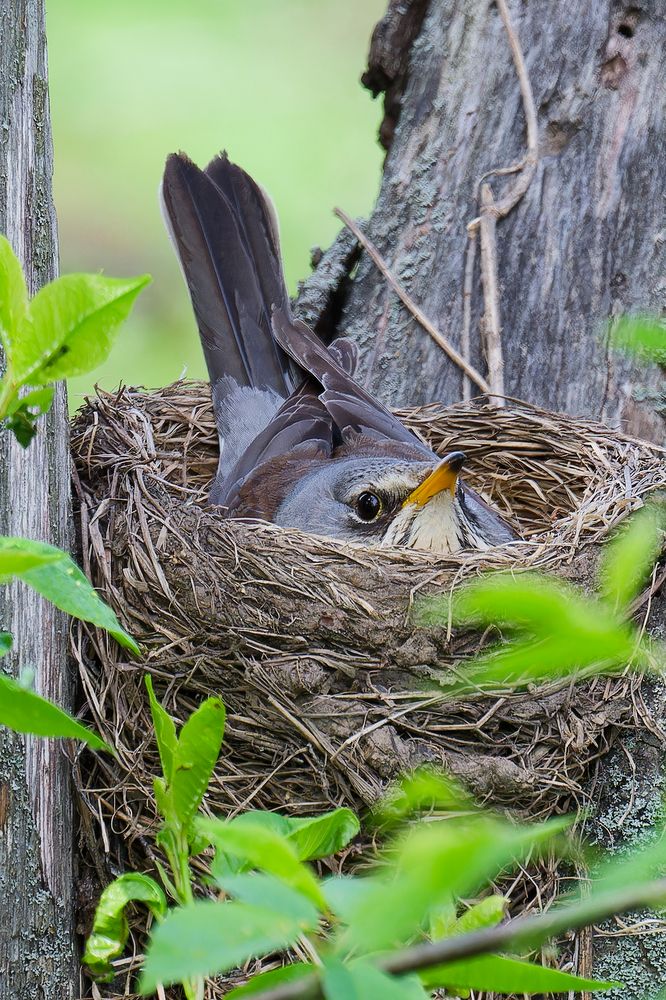 Photograph by Алексей Зенякин