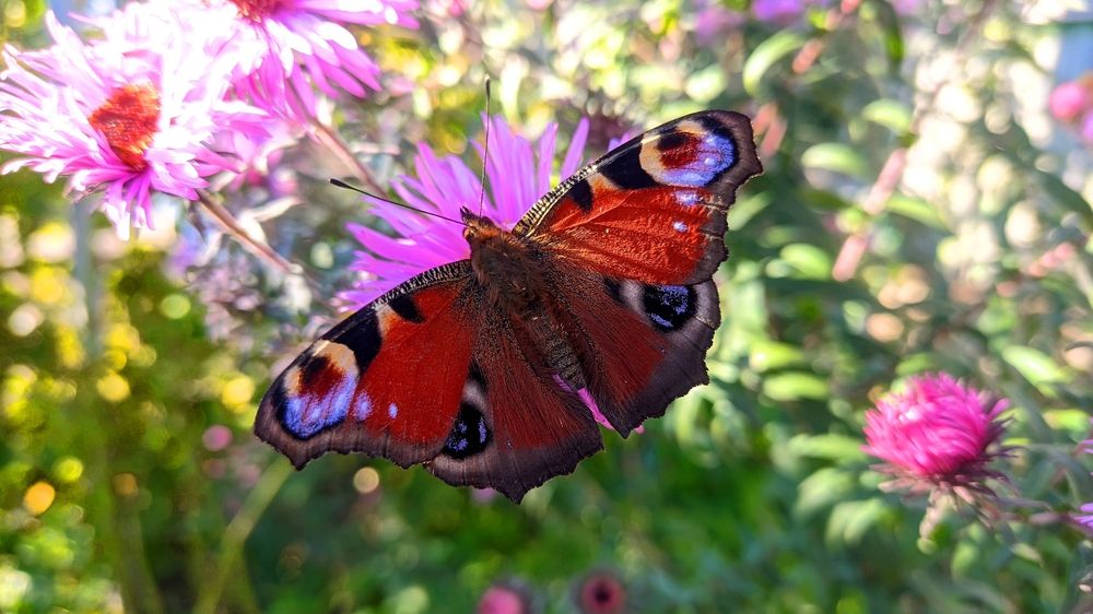 Photograph by Мария Широких