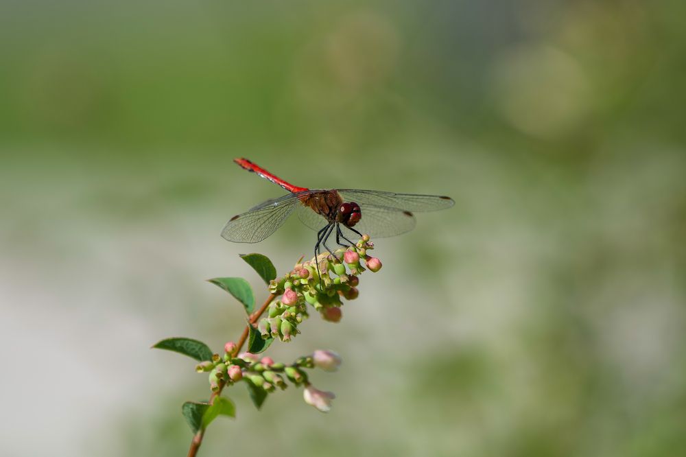 Фотография автора Viktoriya Kim