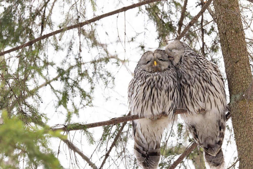 Photograph by Белов Александр