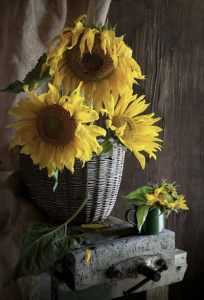 Photograph by Алексеев Сергей