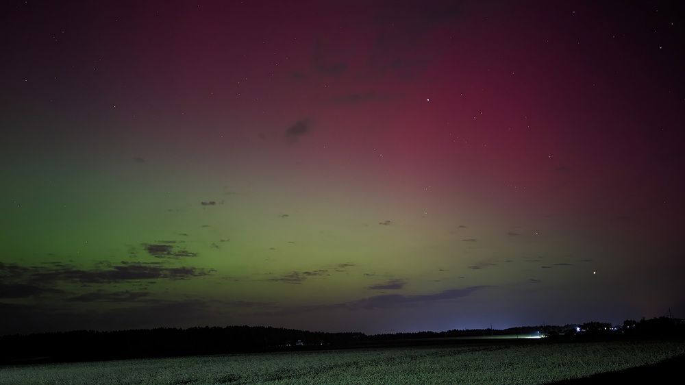 Фотография автора Никита Кизевич