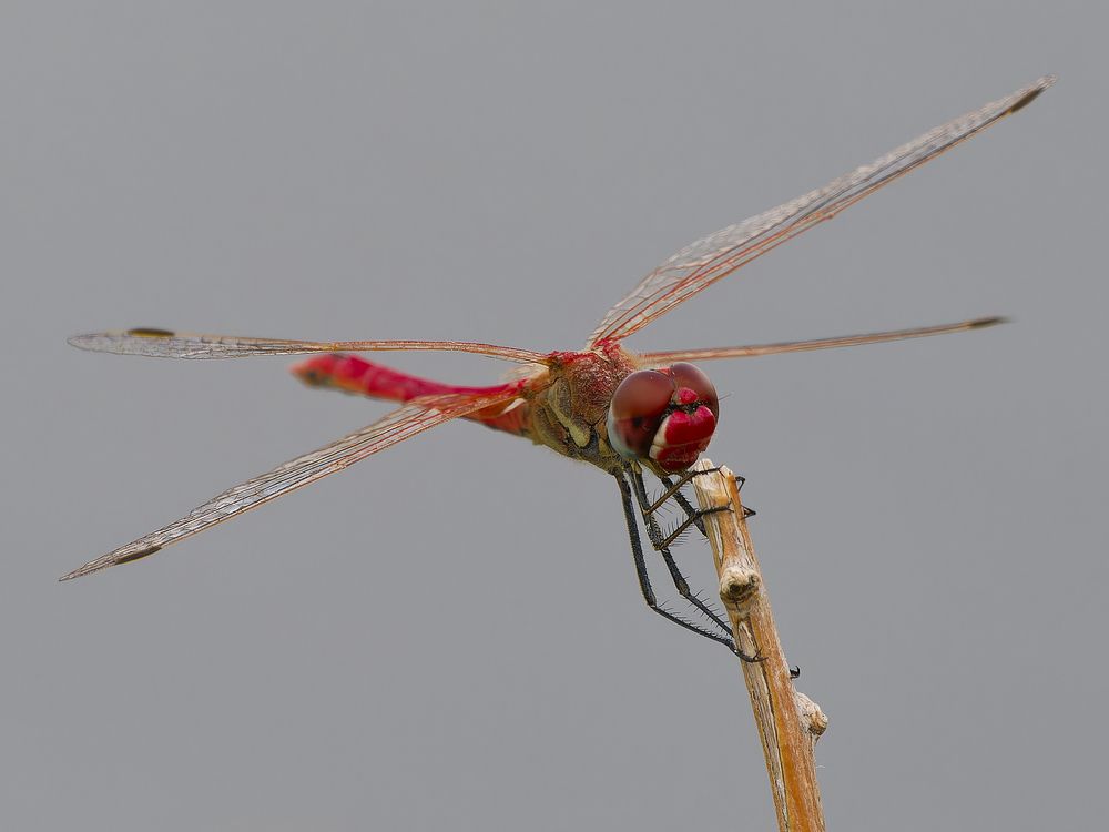 Photograph by Алексей Зенякин