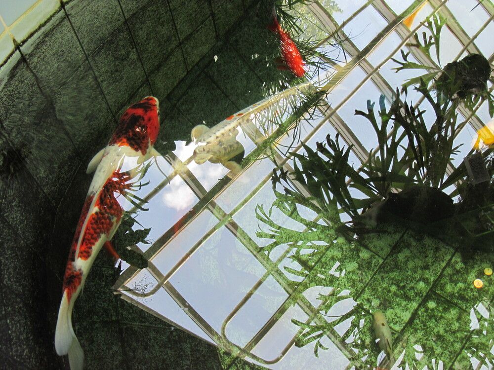 Фотография автора Георгий Самусевич