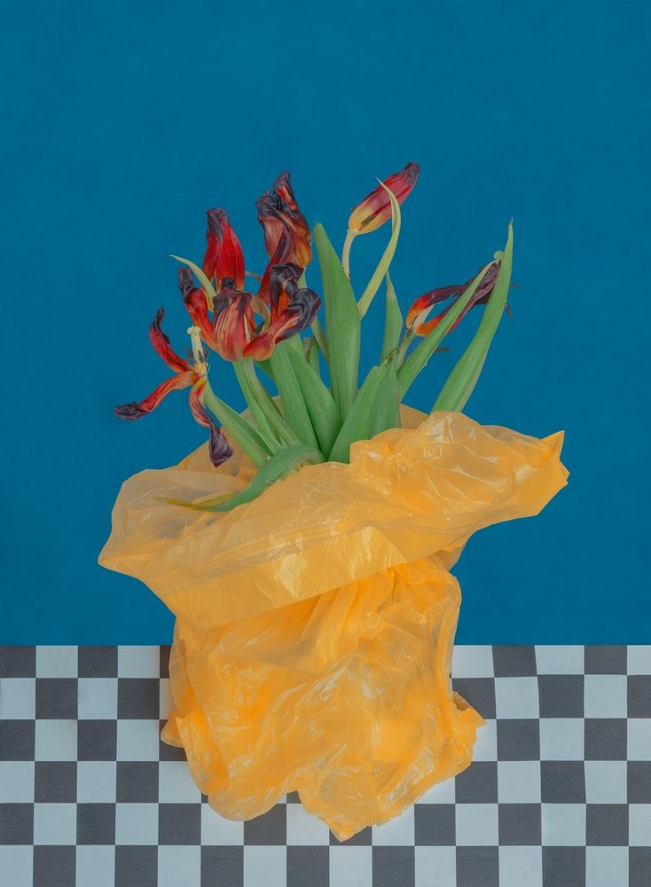 Photograph by Ирина Кувшинова