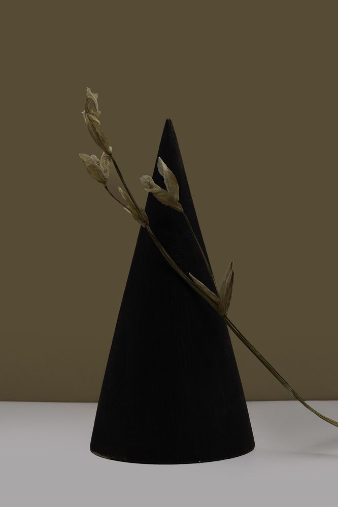 мертвые цветы