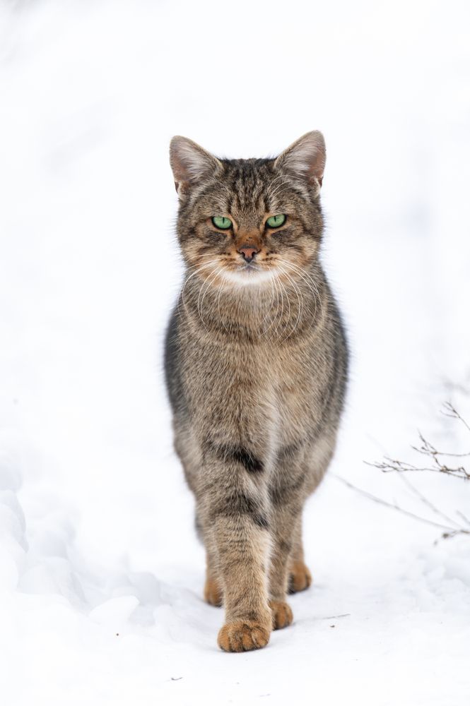 Photograph by Рамзан Давлетмирзаев