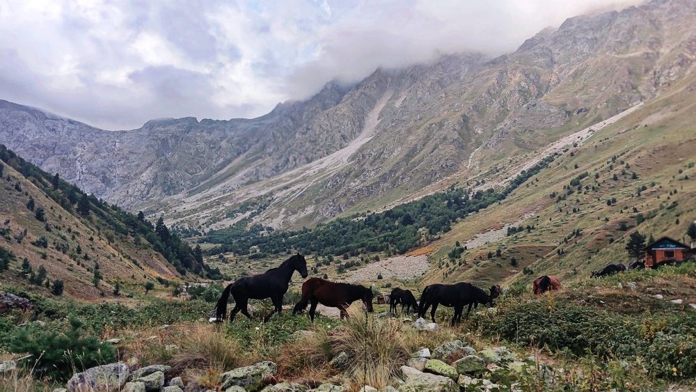 Фотография автора Ирина Муравьева
