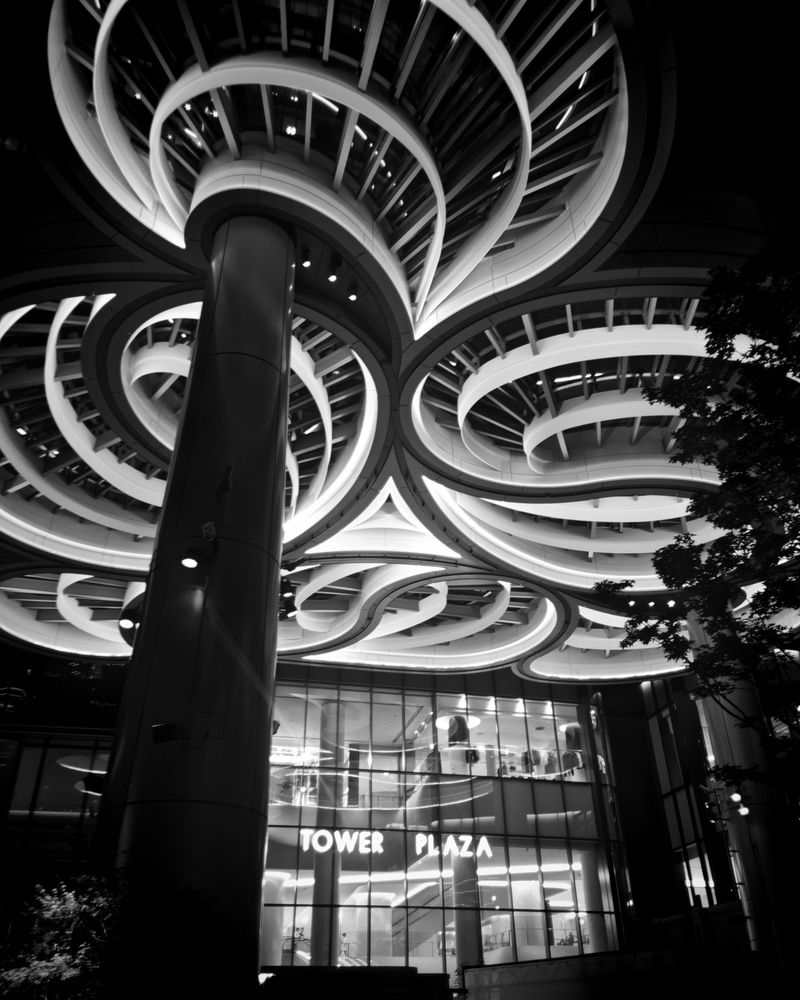 Photograph by Alex Irondile