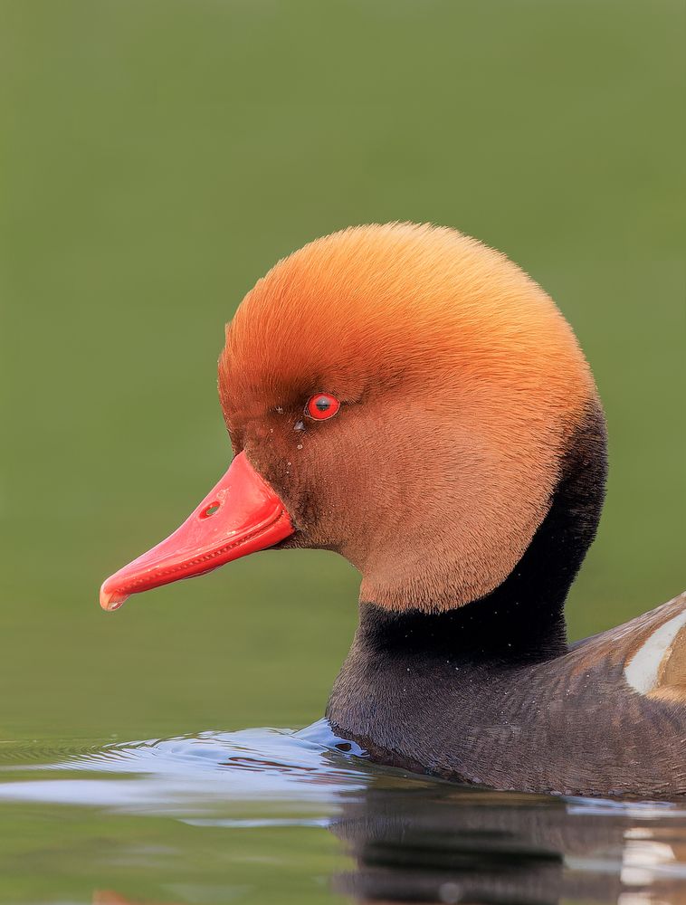 Photograph by Hrishikesh Sabnis