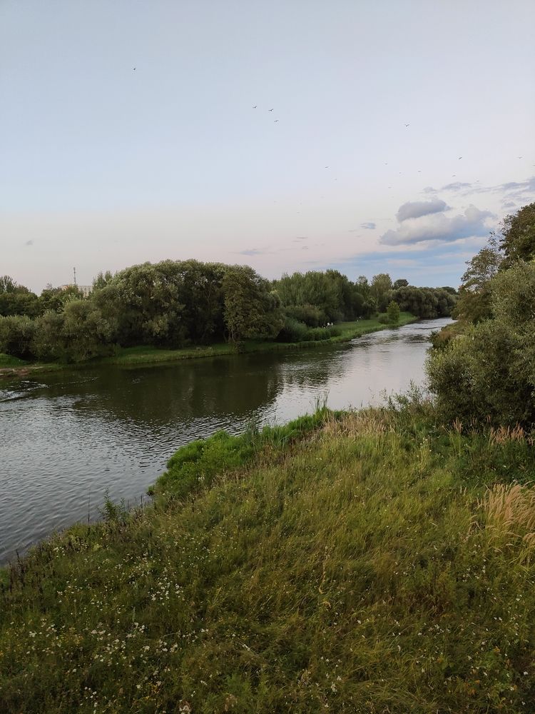 Photo #12032767