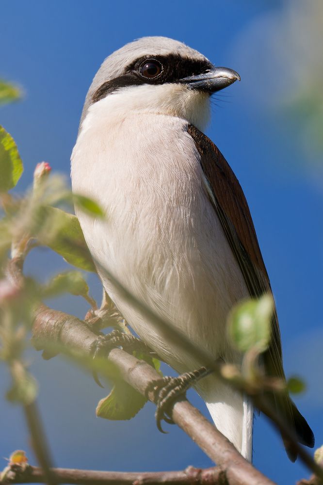 Photograph by Алексей Зенякин