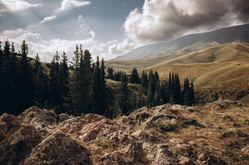 Photograph by Родионов Дмитрий