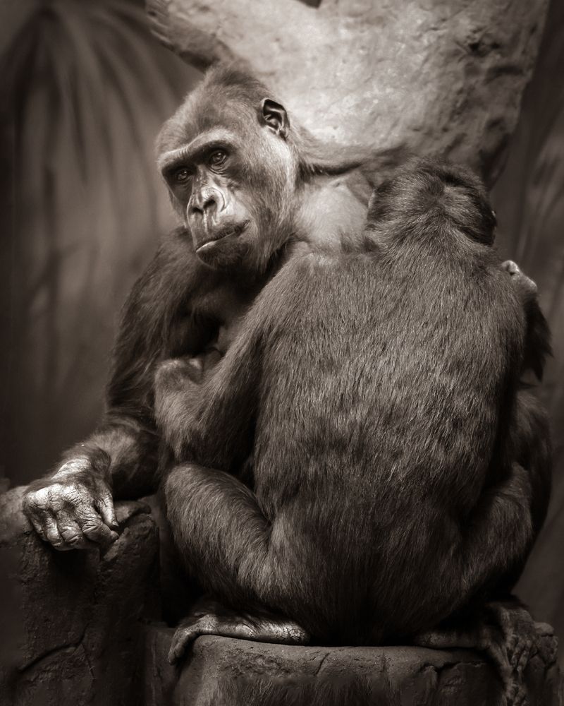 Photograph by Lena Melnikova