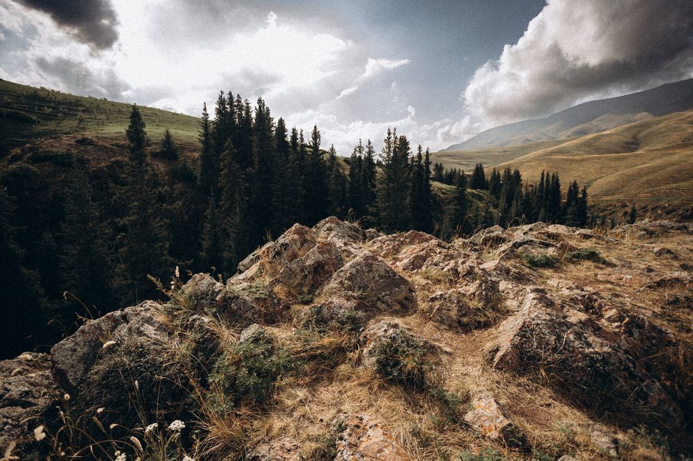 Photograph by Родионов Дмитрий