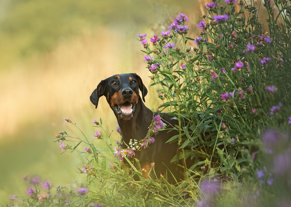 Photograph by Мария Клещенко
