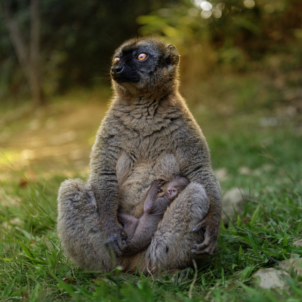 Photograph by Nifiba Suneer