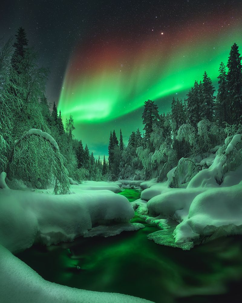 Фотография автора Медянцев Дмитрий