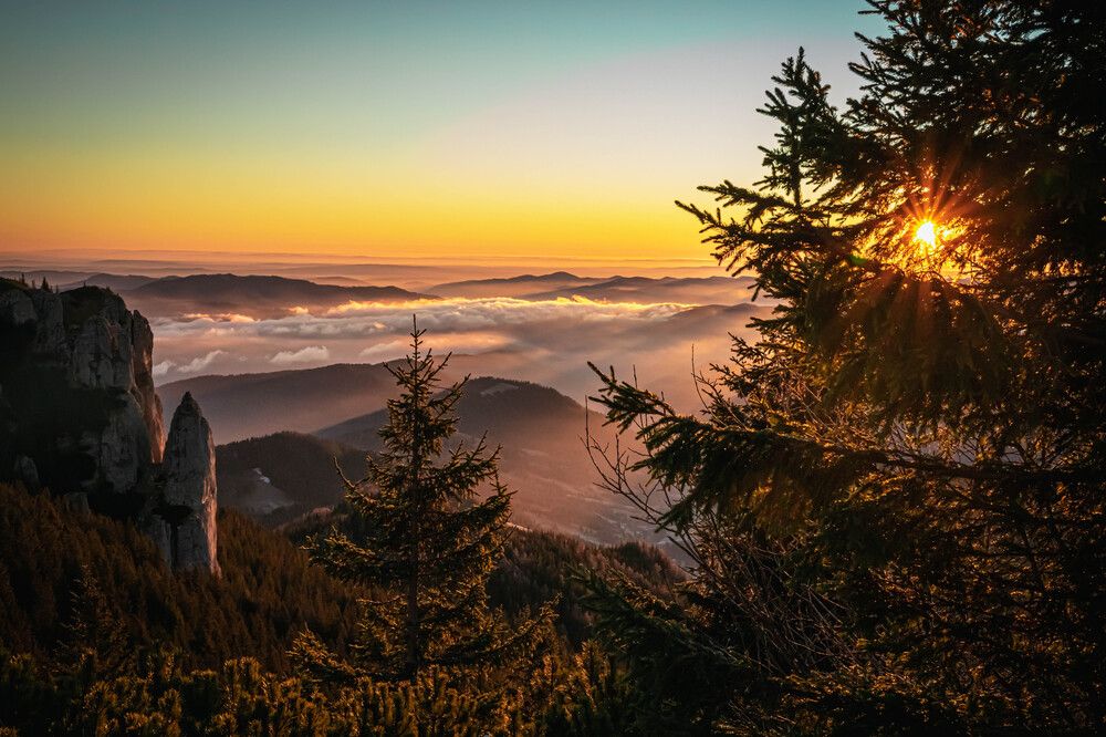 Photograph by Anton Balan