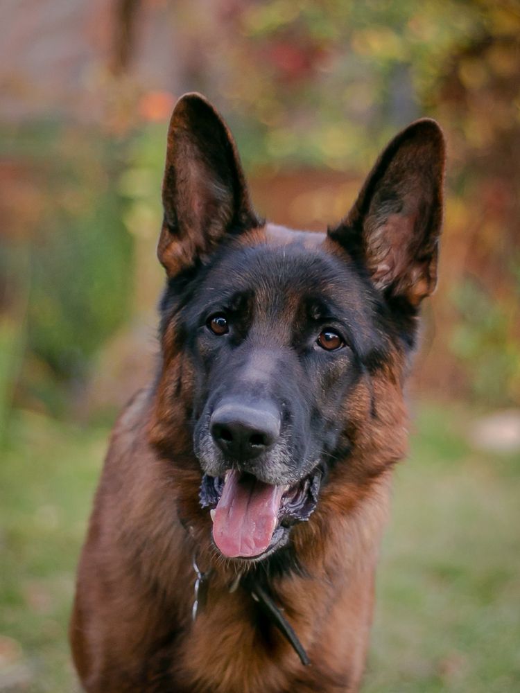 Photograph by Оксана Кудрявцева