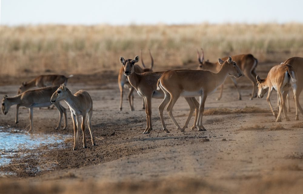Photograph by Василий Дудин