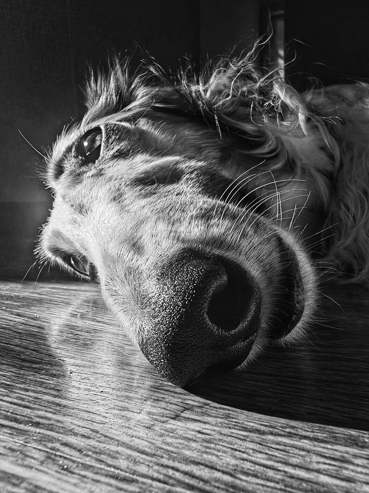 Отдых на солнышке