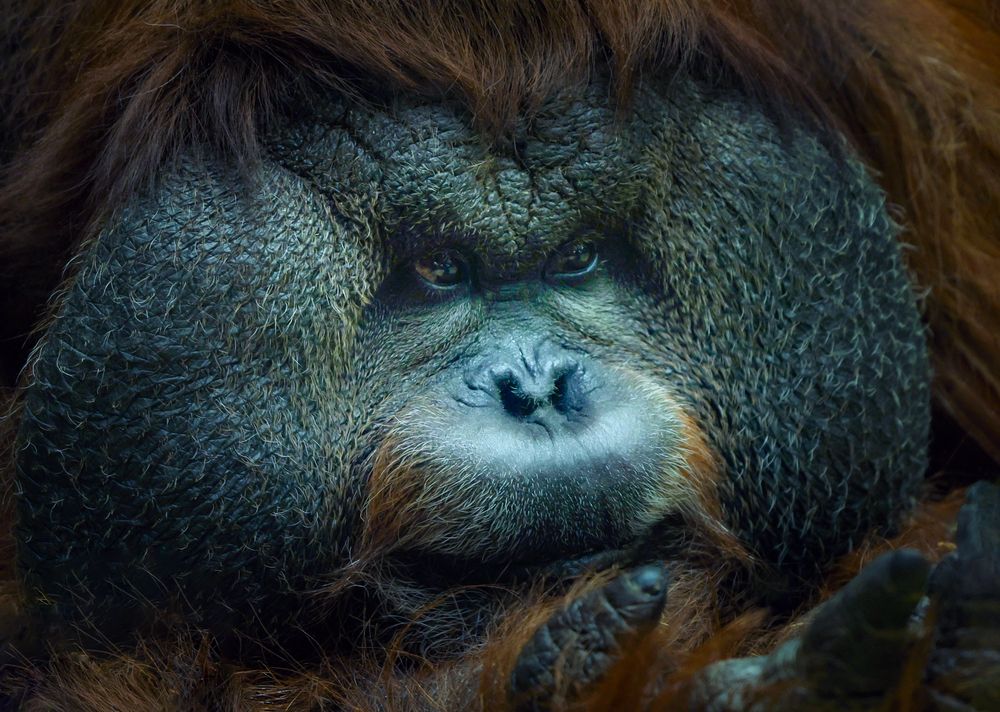 Photograph by Lena Melnikova