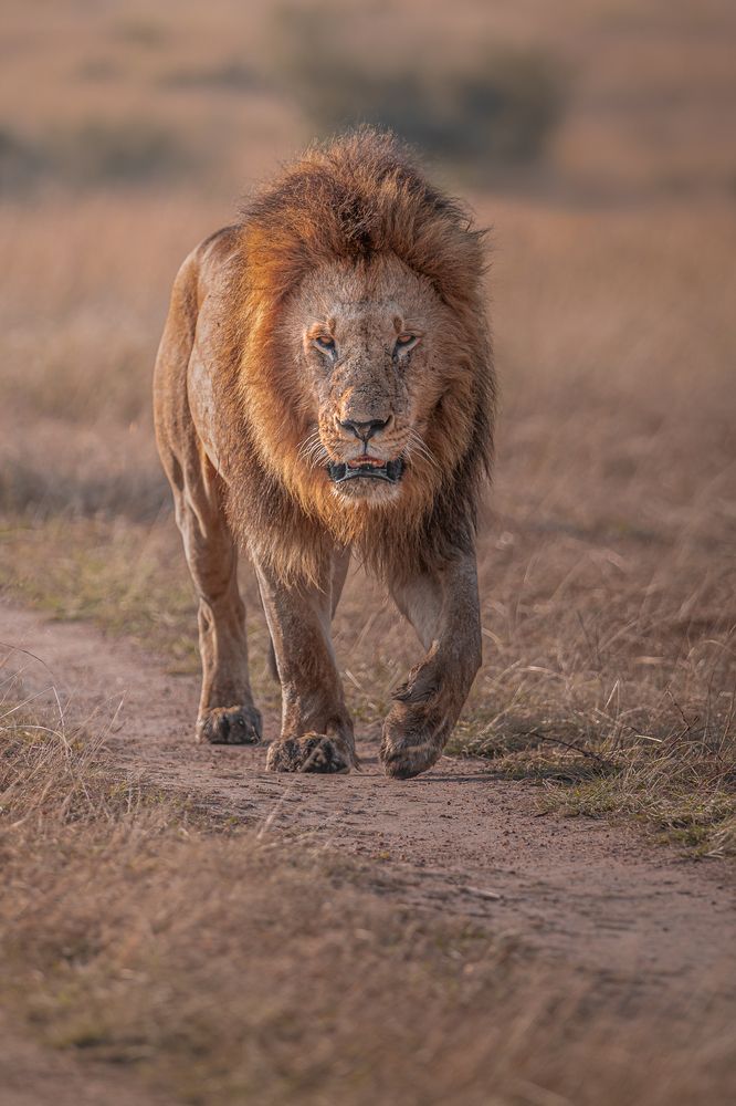 Photograph by Jayakumar MN