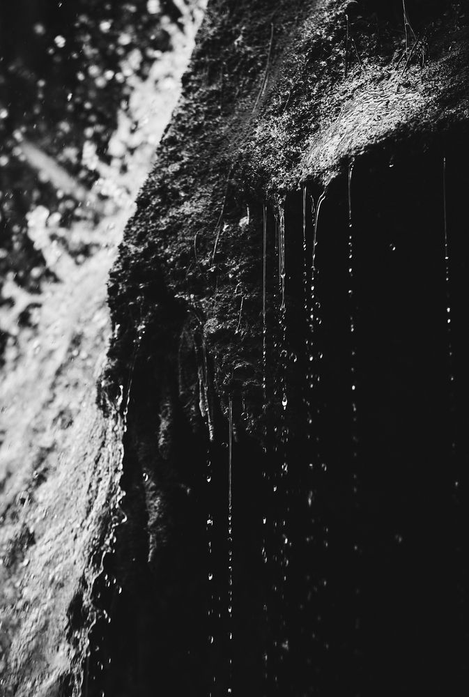 Фотография автора constantnine