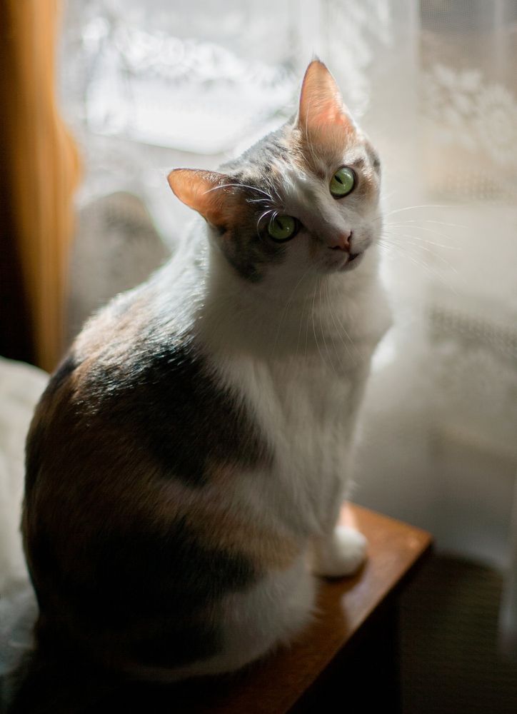 Photograph by Алексей