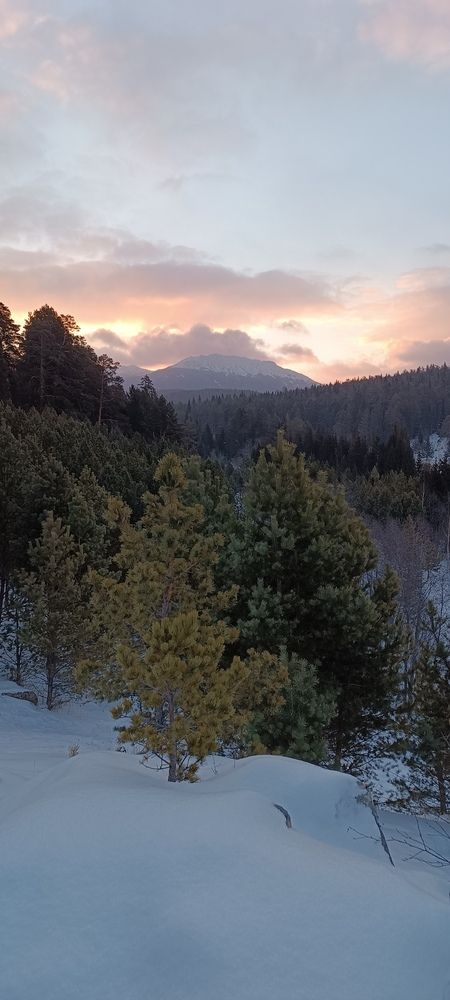 Photo #12032980