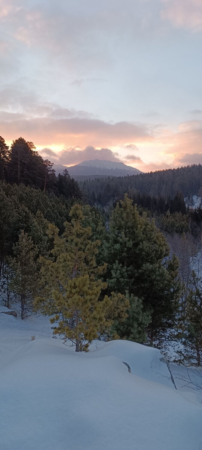 Photo #12032980