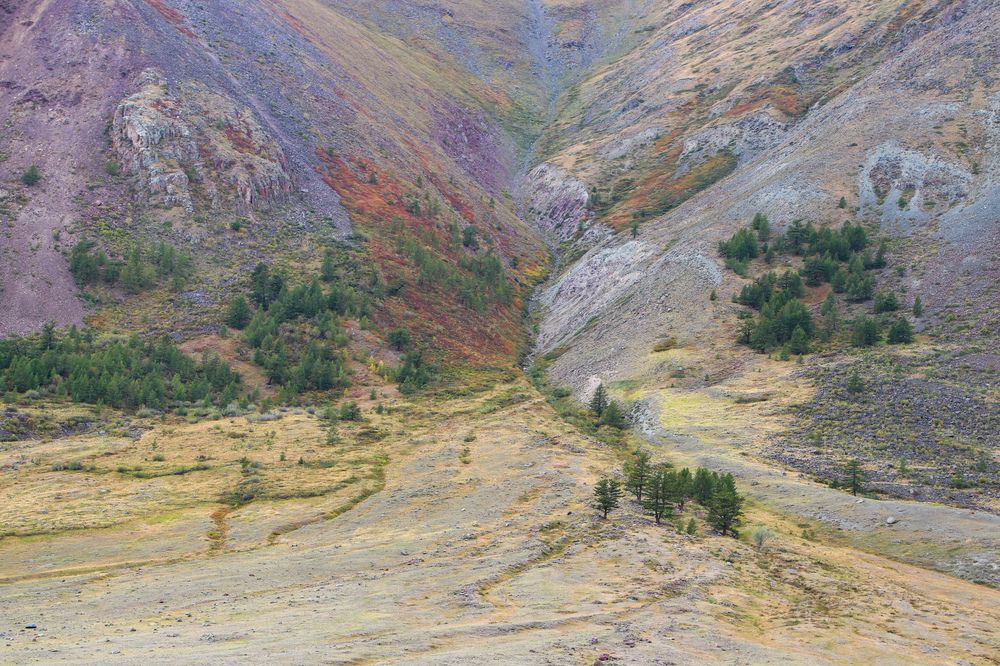 Photograph by Наталья Трифуз