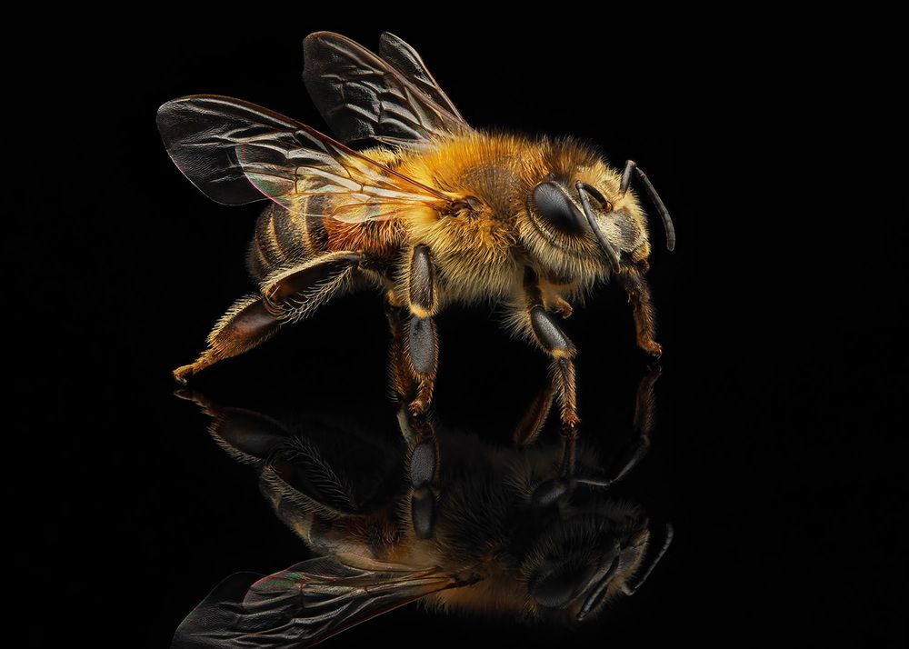 Photograph by Rastislav Borovsky