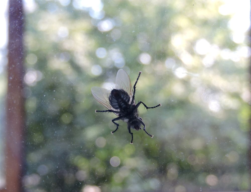 Photograph by Tatiana