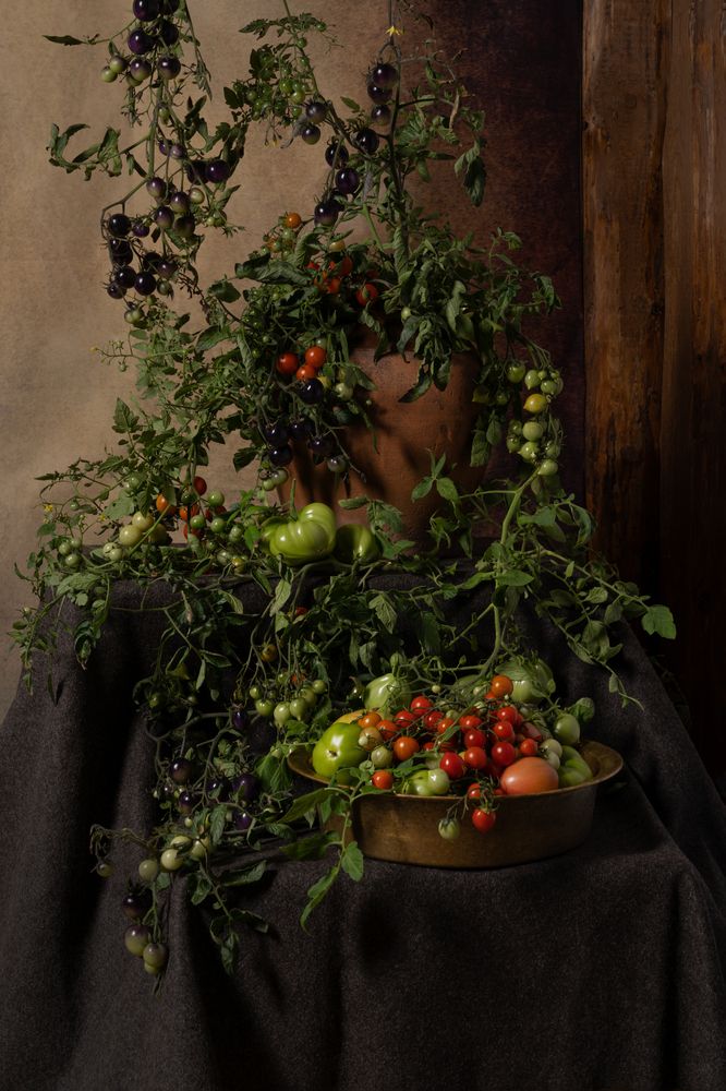 Photograph by Алина Еникеева