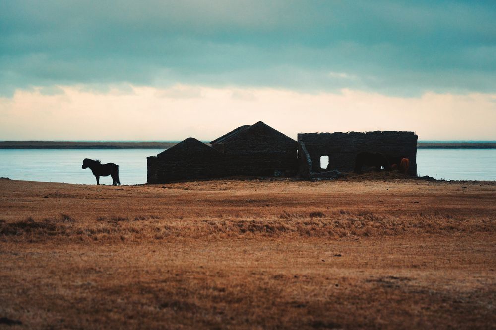 Photograph by Aman Wilson