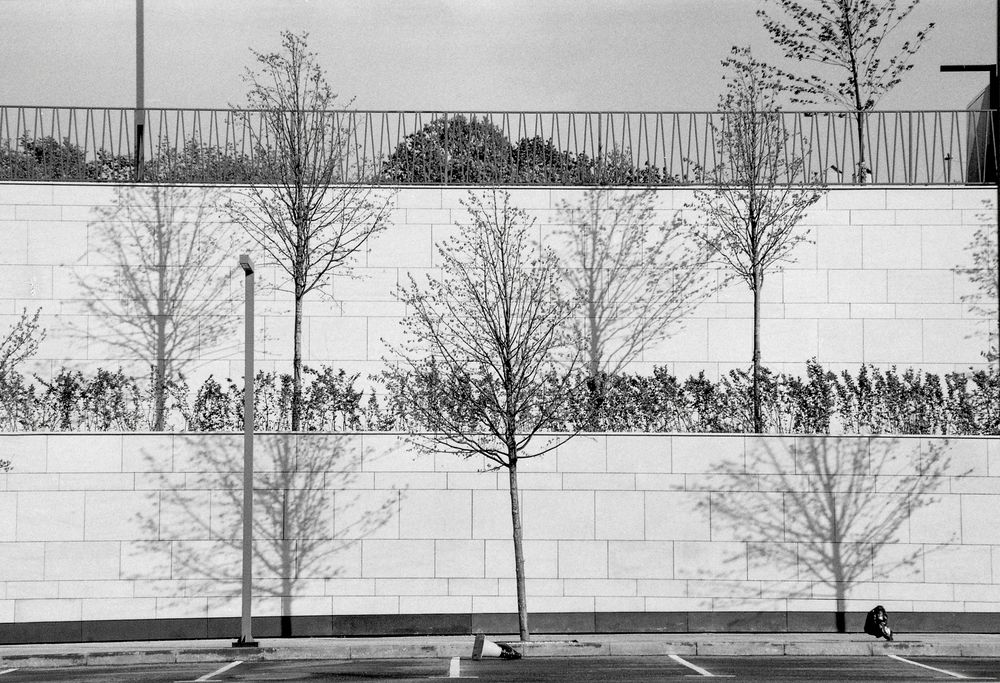 Photograph by Юлия Близнецова