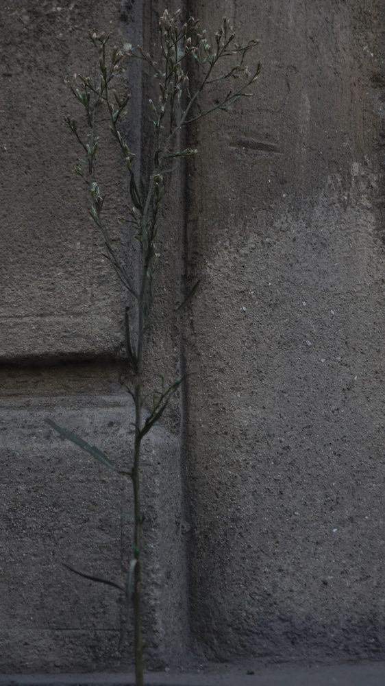 resilience