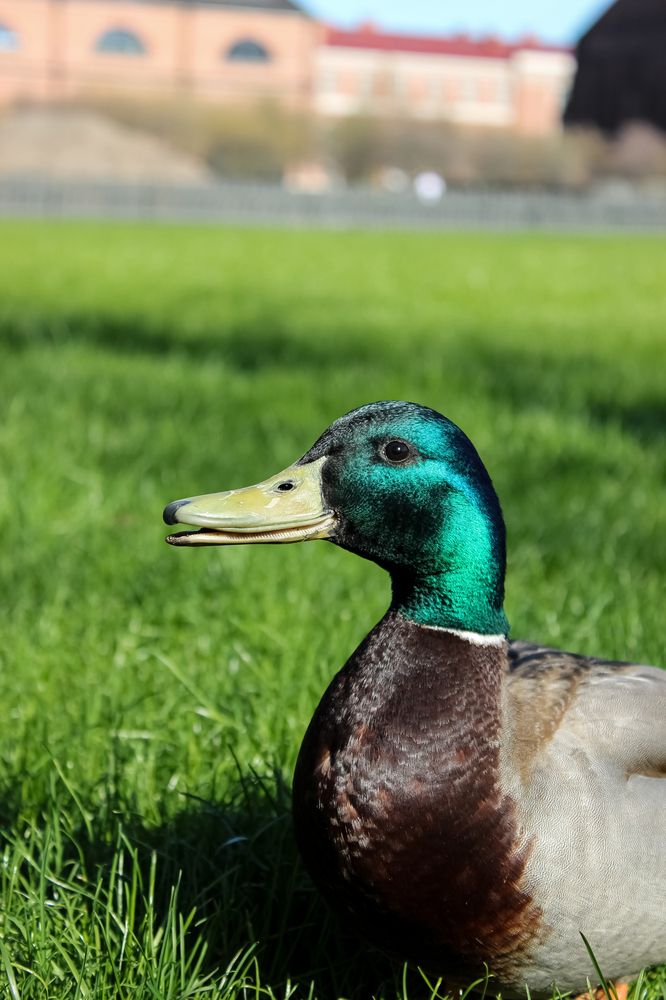 Photograph by NATALIA VESNINA