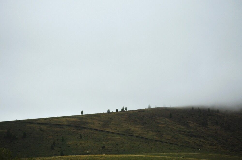 Photograph by Маринова Марина