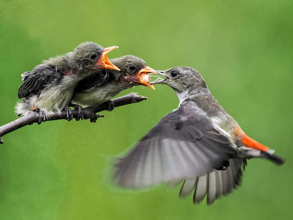 Photograph by Asa Satria Said