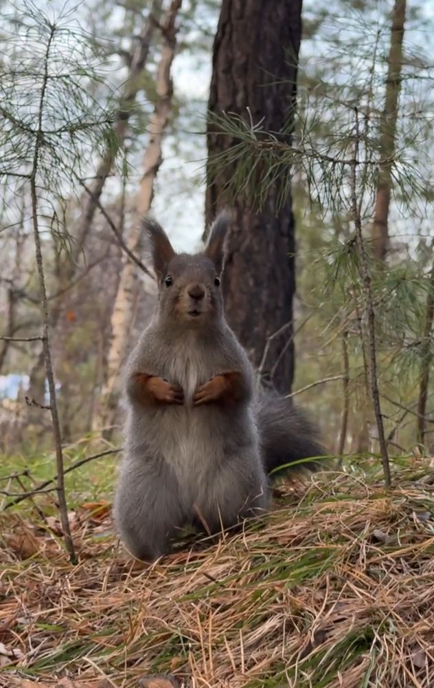 Photograph by Марина Мишутина