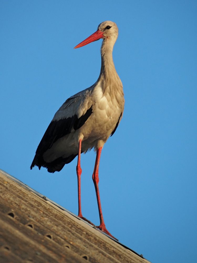 Photograph by Мария Широких