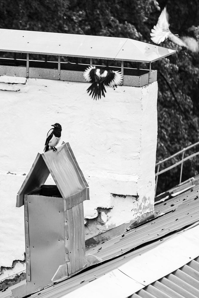 Photograph by Анисимова Ольга Леонидовна