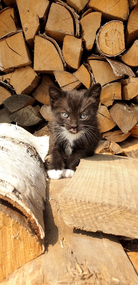 Фотография автора Татьяна Зарипова