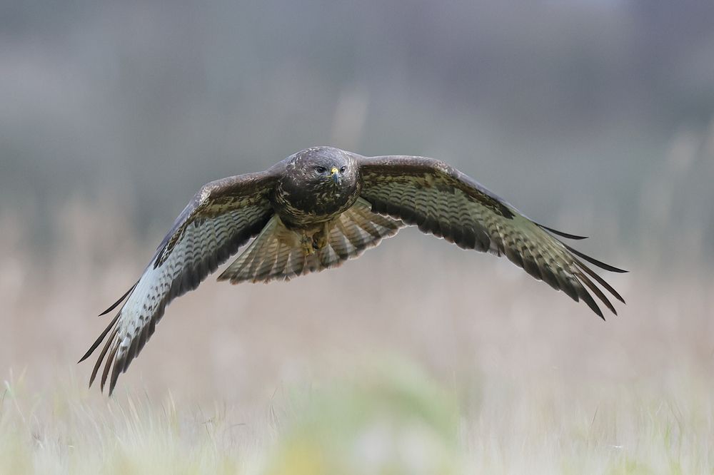 Photograph by Marcin Parzybut