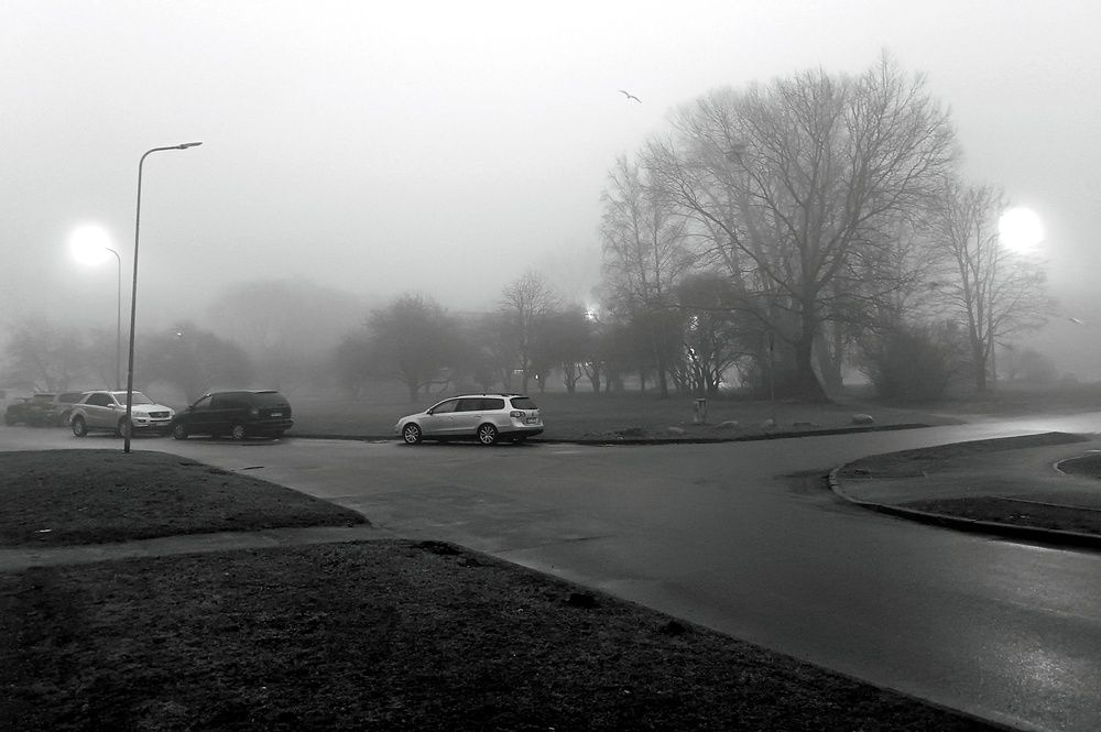 Photo #12033339
