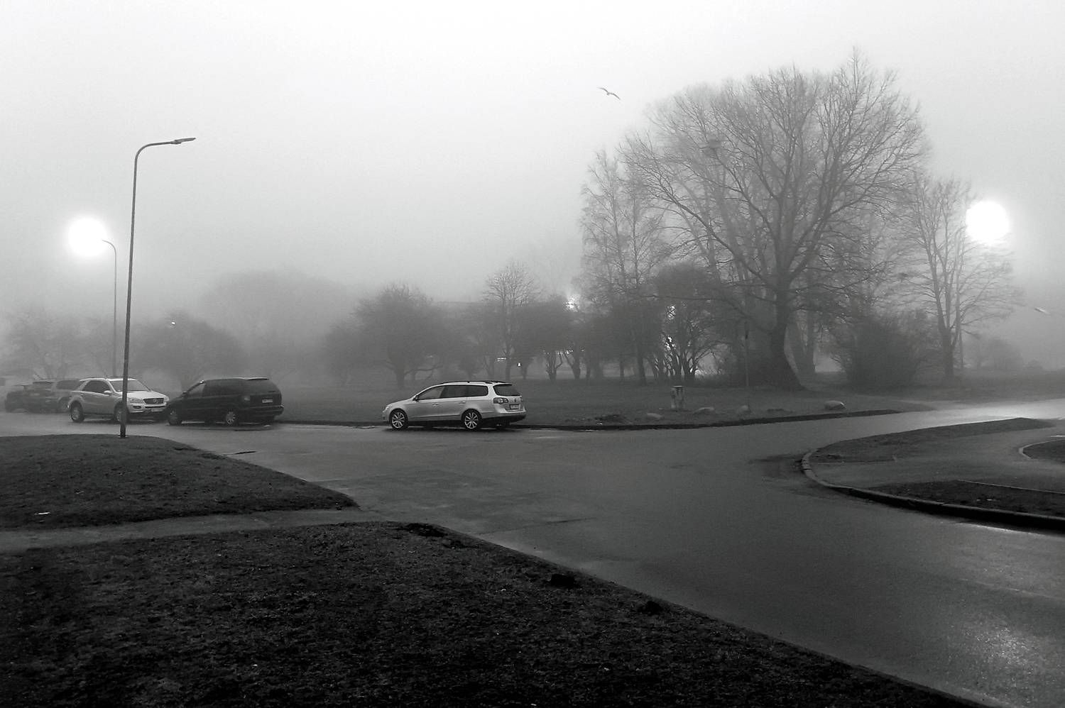 Photo #12033339