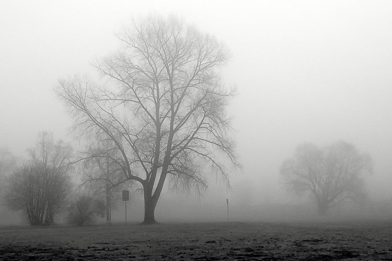 Photo #12033343